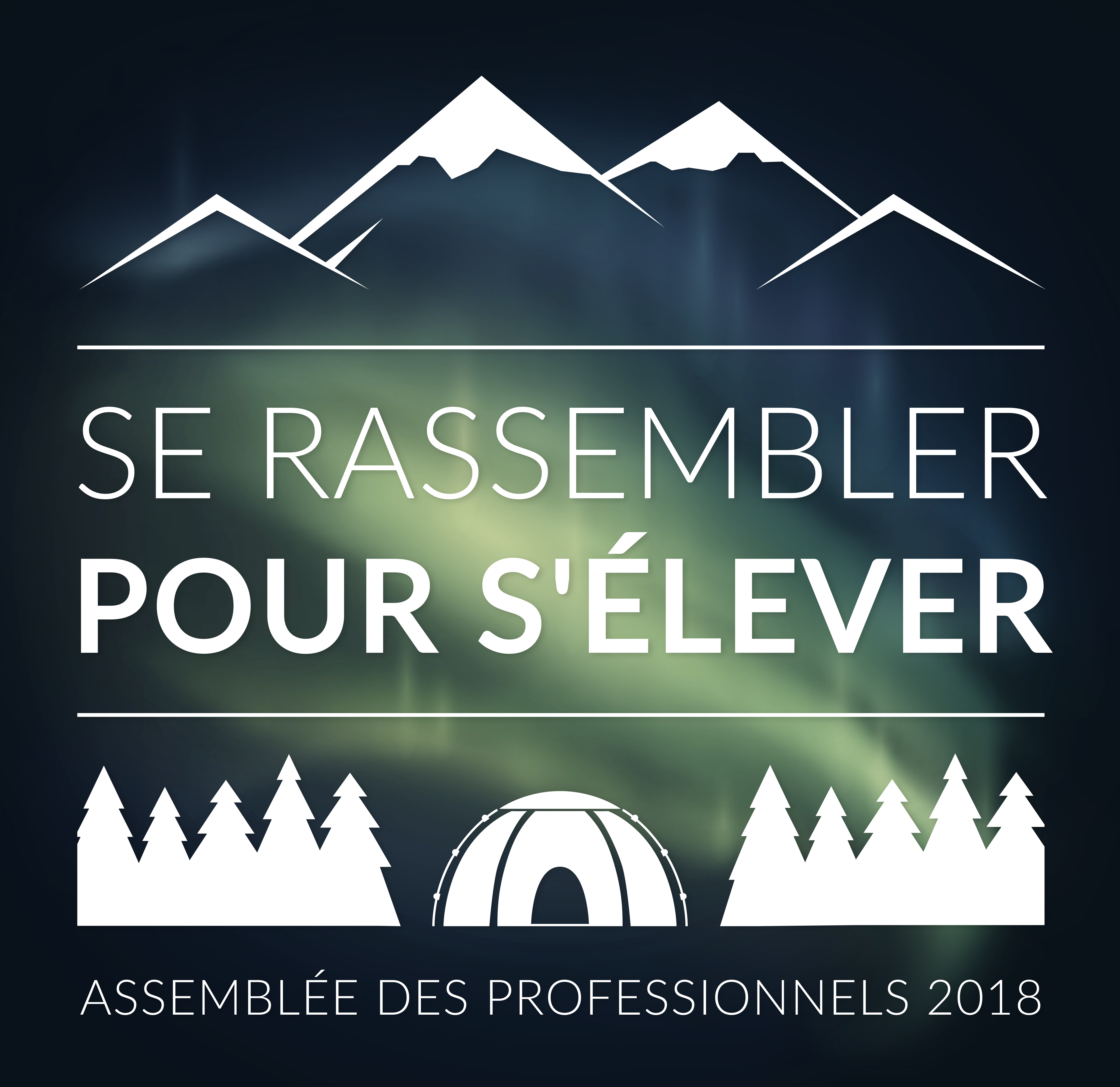 433-OD Logo - Assemblée des professionnels 2018